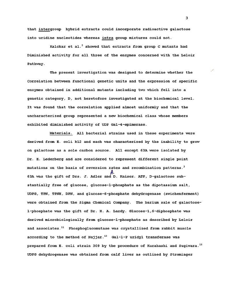Soffer First Draft Recreated p3